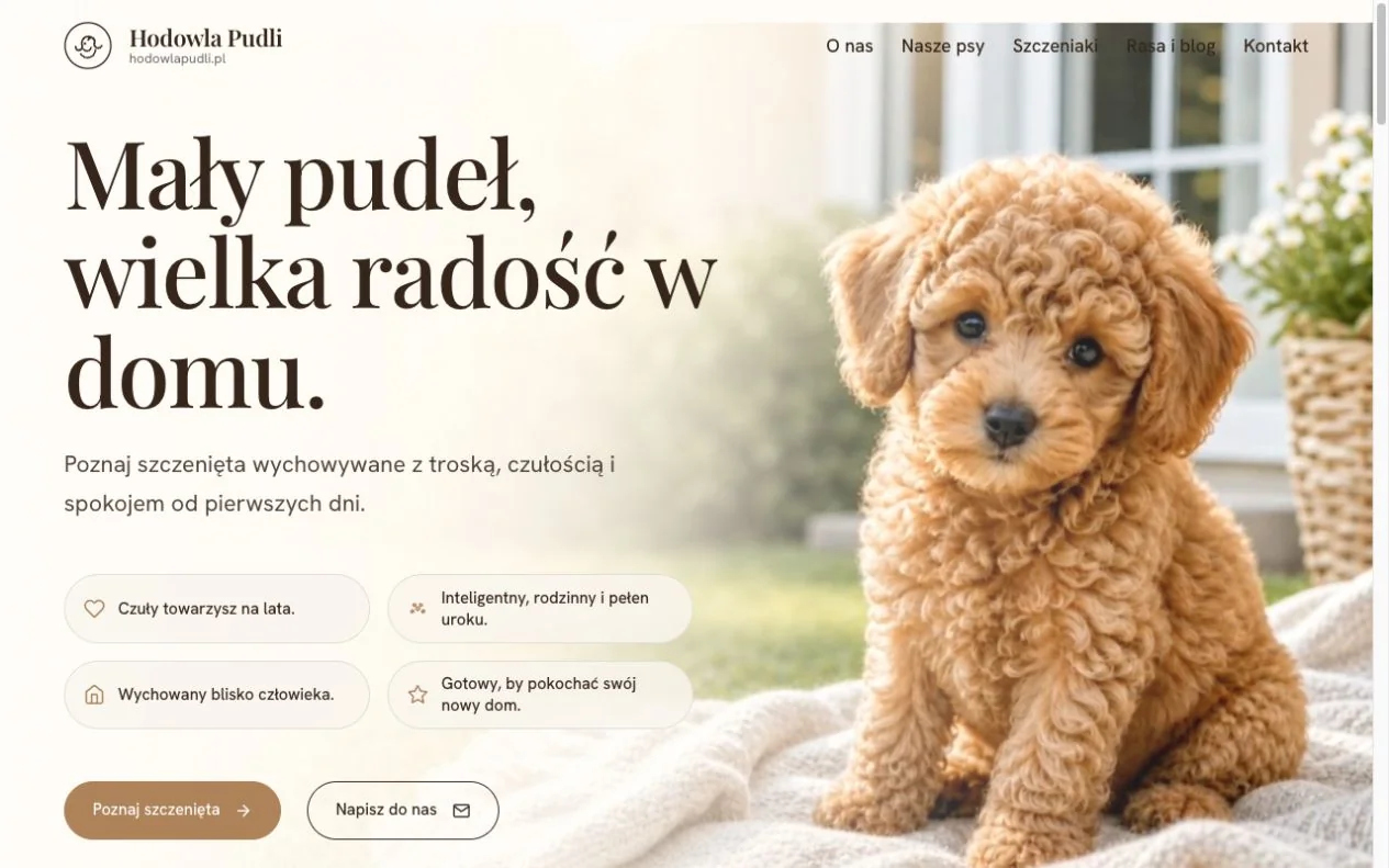 Projekt strony hodowlapudla.pl